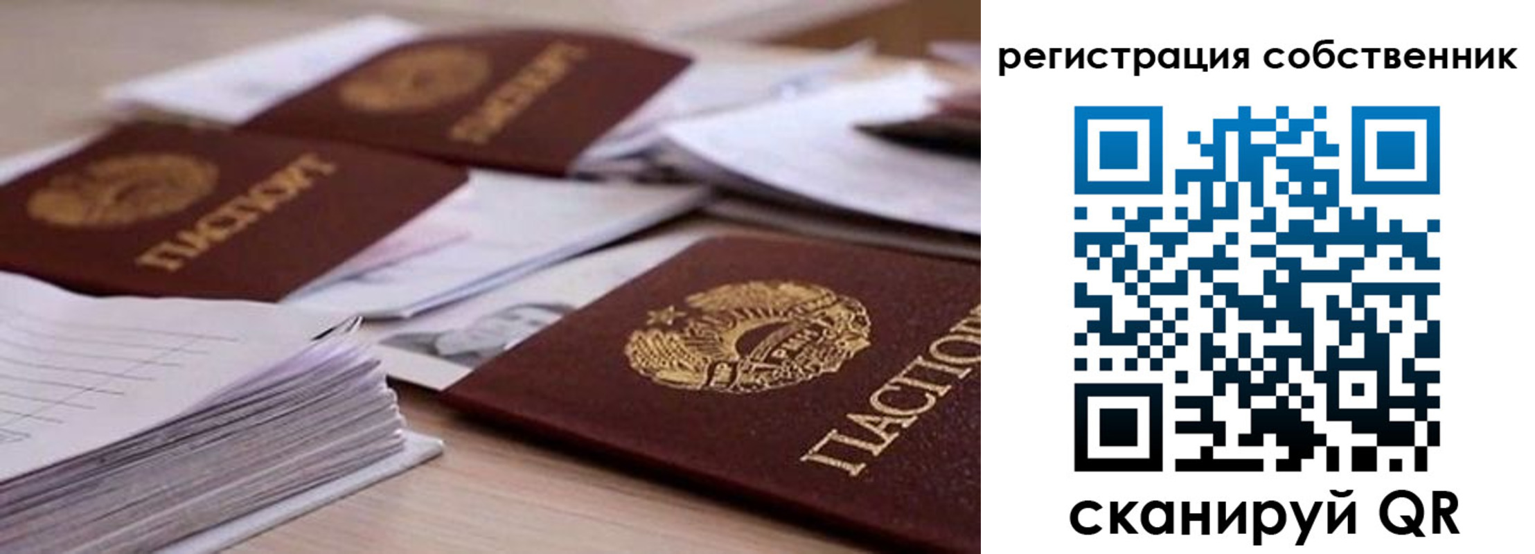 прописка штамп в Лузе